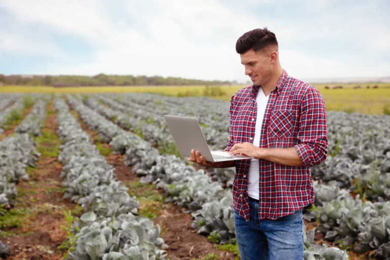 Produtor rural não contribuinte usa o notebook na lavoura para simular a opção pelo regime regular de IBS e CBS